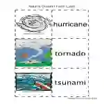 Natural Disasters Flash Cards