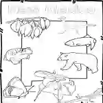 New Mexico State Symbols Clip Art