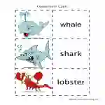 Ocean Flash Cards