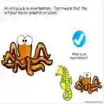 Octopus Adapted Book Slide Deck for,Special Ed