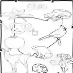 Ohio State Symbols Clip Art