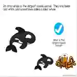 Orca Whale Adapted Book Slide Deck for Special Ed