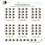 Pennies Circle Worksheet