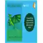 Plan And Write A Story Called 'The Dragon Kite' (7-11 years)