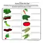 Plant Parts We Eat Worksheet