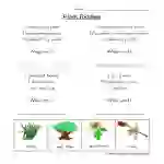 Plant Riddles Worksheet