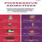 Possessive Adjectives | Beginner Lesson Plan