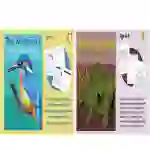 Practise Close Reading Comprehension: The Kingfisher & Dinosaurs (6-9 years)
