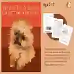 Practise Writing To Advise On Getting A Pet (9-14 years)