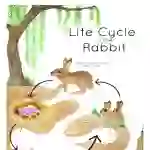 Rabbit Life Cycle Educational Poster