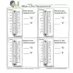 Read a Thermometer Worksheet by Teach Simple