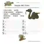 Reptiles Alphabetical Order Worksheet by Teach Simple