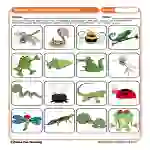 Reptiles, Amphibians, and Insects Worksheet