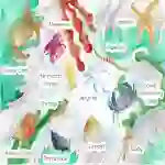 Rock Pool Habitat Poster