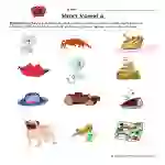 Short Vowel Sounds A Worksheet