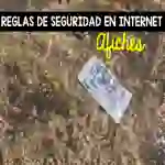 Spanish: Internet Safety Rules Posters