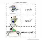 Sports Flash Cards