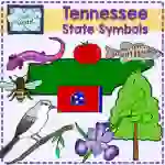 Tennessee State Symbols Clip Art
