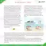 The Boat Trip Short Story | Pre-Intermediate Lesson Plan