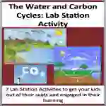 The Carbon and Water Cycle - 7 Engaging Lab Station Activities