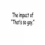 The Impact of "That's So Gay!" Lesson