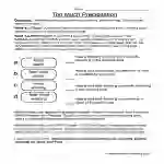 Too Much Precipitation Weather Worksheet