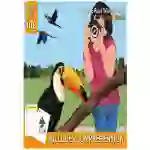 Close Reading Comprehension 'Feather World' (4-8 years)
