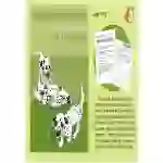 Imagine That You Write For A Pet Problem Page In A Magazine (7-11 years)