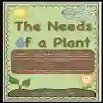 What Does a Plant Need Activity