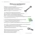 Where Can I See Hexagons? Reading Comprehension Worksheet