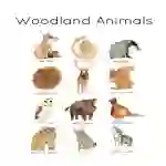 Woodland Animal Flashcards | Forest Friends Prints | Educational Download