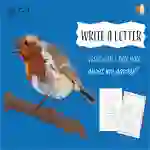 Write A Letter: What Can I Tell You About My Garden? (6-9 years)