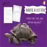 Write A Letter: What Can I Tell You About My Pets? (6-9 years)