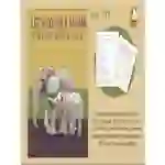 Write A Story Called 'Let's Go On Safari' (7-11 years)