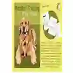 Write A Story Called 'Monster The Dog' (7-11 years)