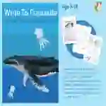 Write To Persuade: Come To Seaside World (9-14 years)