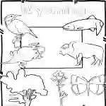 Wyoming state Symbols Clip Art