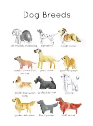 dog breed poster printable