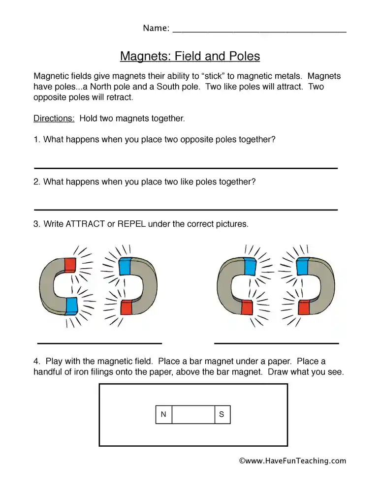 Fields and Poles Magnets Worksheet by Teach Simple