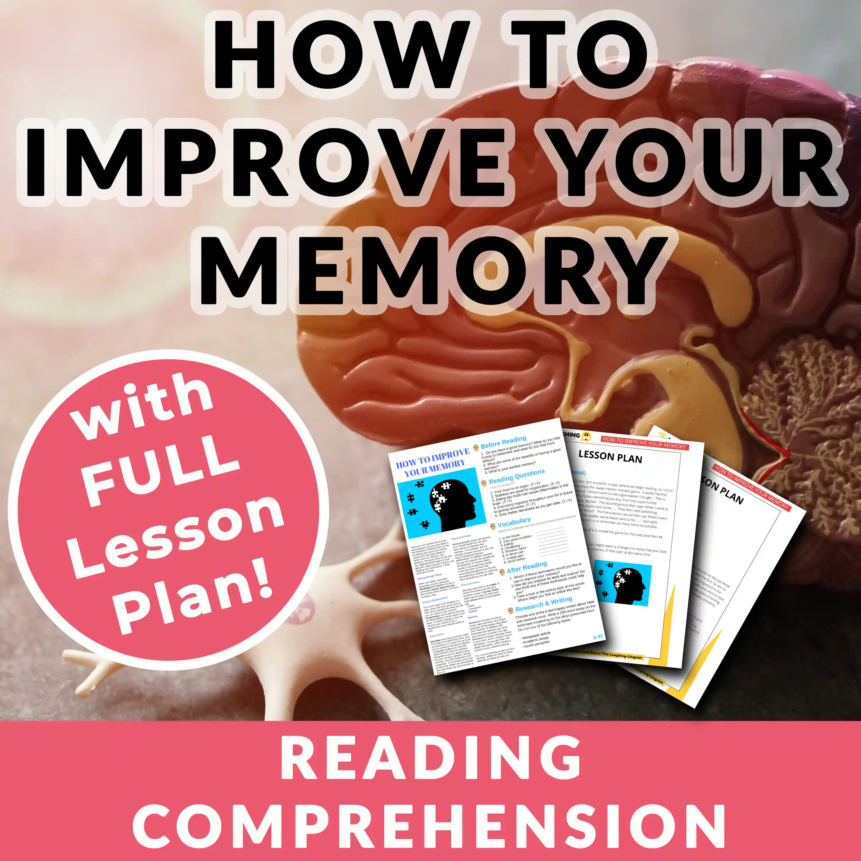 How To Improve Your Memory  Worksheet & Lesson Plan by Teach Simple