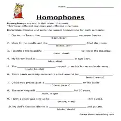Homophones Fill in the Blank Worksheet by Teach Simple