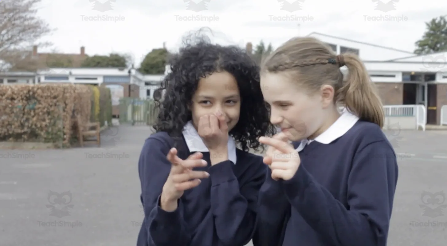 An educational teaching resource from Educational Voice entitled All About Bullying | Staying Safe Video Lesson downloadable at Teach Simple.