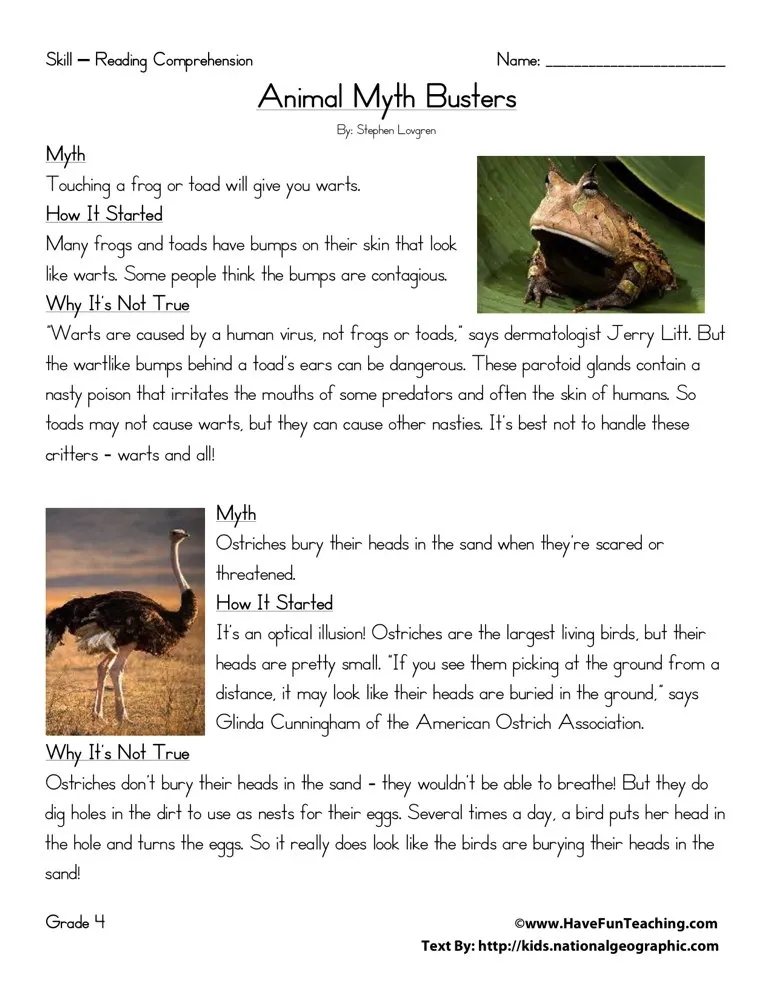 An educational teaching resource from Have Fun Teaching entitled Animal Myth Busters Reading Comprehension Worksheet downloadable at Teach Simple.