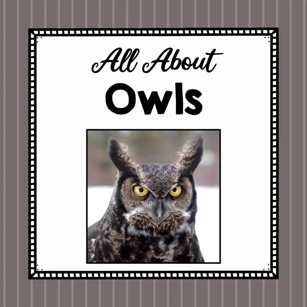 An educational teaching resource from Simply Schoolgirl entitled Animal Science Unit | All About Owls | Learning about Animals downloadable at Teach Simple.