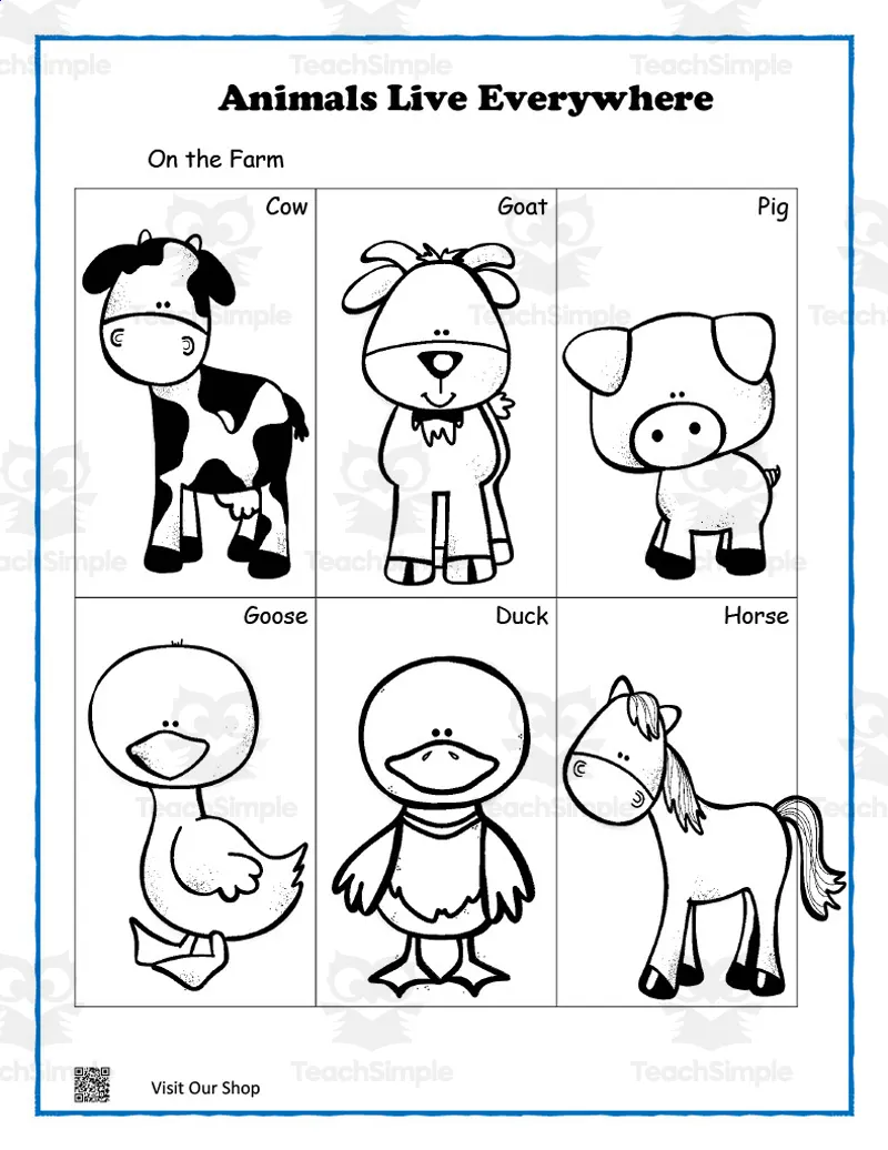 Animals Everywhere Match Up Activity by Teach Simple