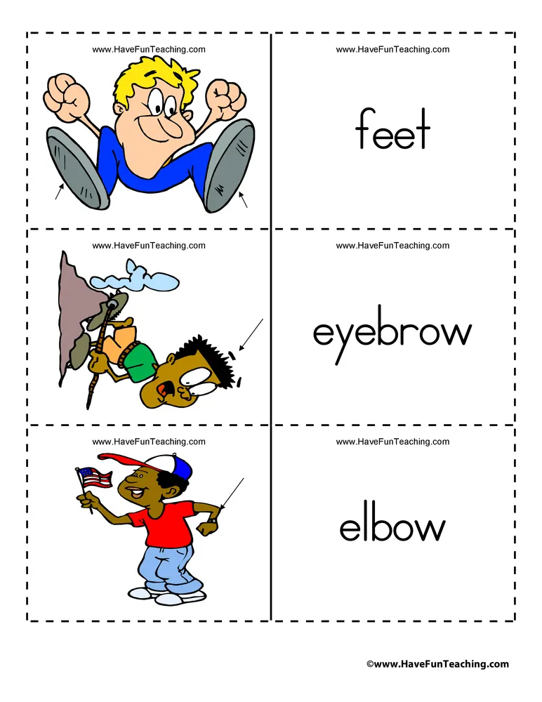 An educational teaching resource from Have Fun Teaching entitled Body Parts Flash Cards downloadable at Teach Simple.