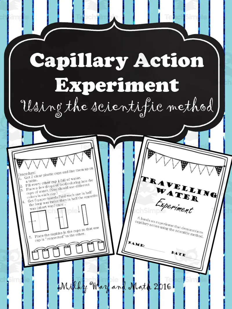 Capillary Action Experiment by Teach Simple