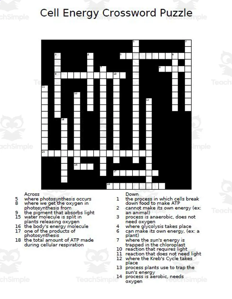 An educational teaching resource from The Teacher Team entitled Cell Energy Crossword Puzzle downloadable at Teach Simple.