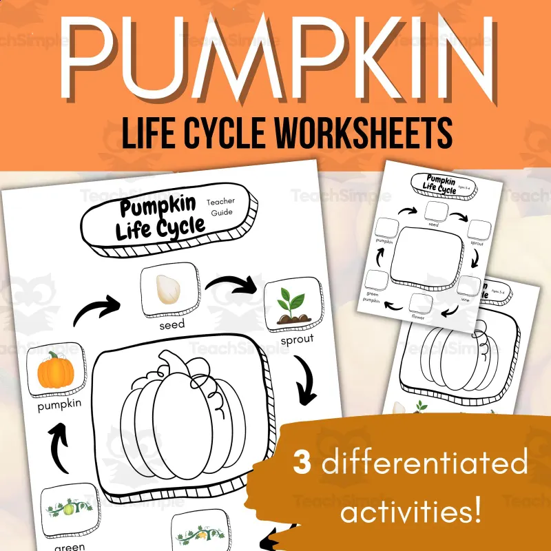 Differentiated Activities for Pumpkin Life Cycle Worksheet-Freebie by ...