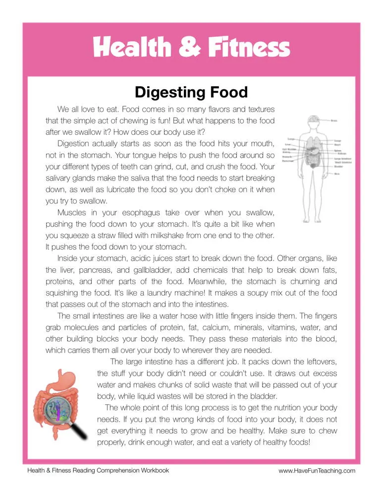 An educational teaching resource from Have Fun Teaching entitled Digesting Food Health and Fitness Reading Comprehension Worksheet downloadable at Teach Simple.